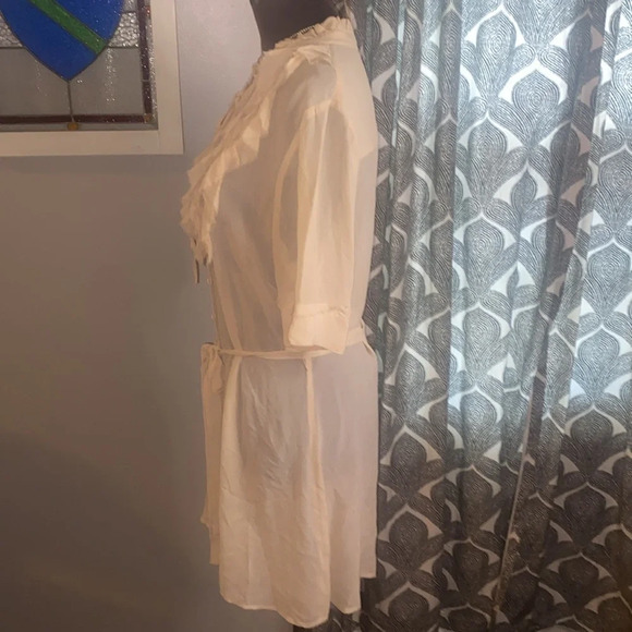 Project Alabama 100% silk sheer mini dress - Picture 3 of 7